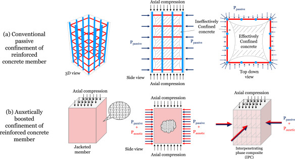 Auxetic boosting of confinement in mortar by 3D reentrant truss lattices for next generation steel reinforced concrete members