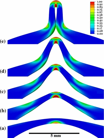 On the deformation and failure of Al 6061-T6 in plane strain tension evaluated through in situ microscopy
